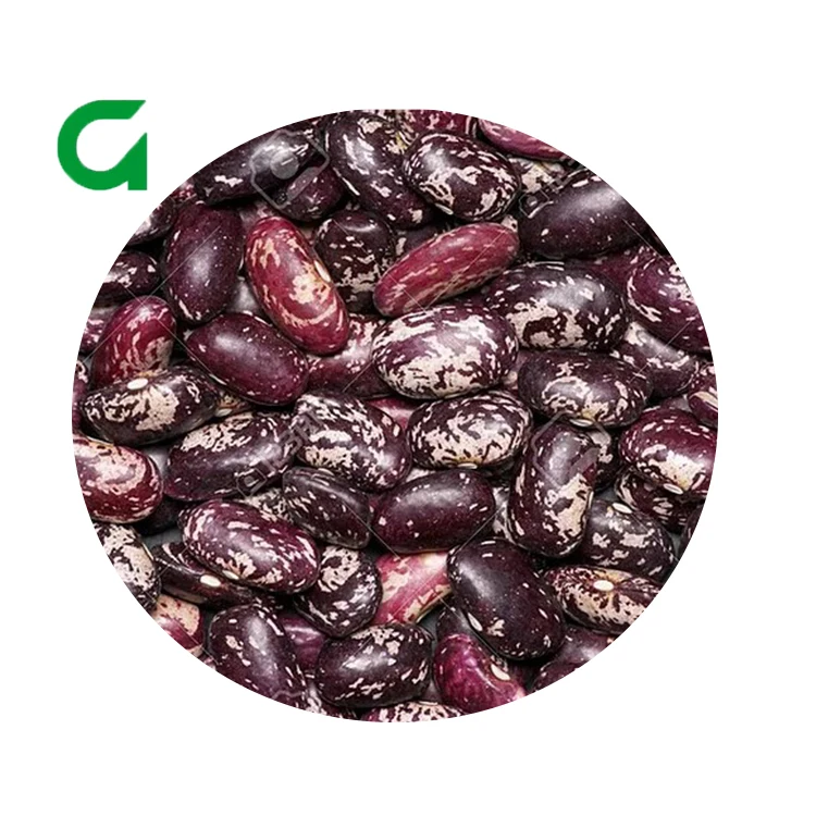
Natural Uzbekistan Kidney Beans Purple Speckled Kidney Beans 