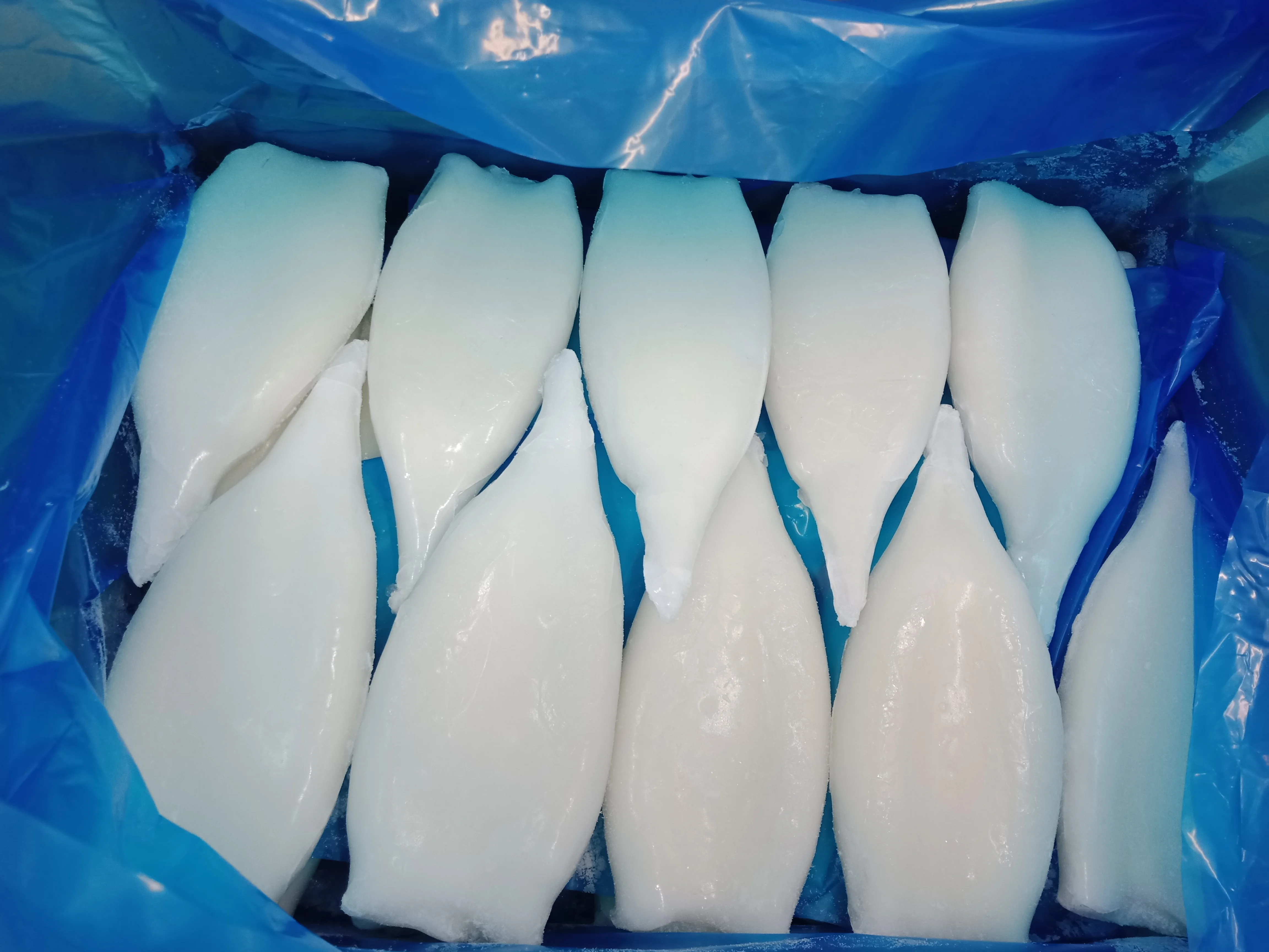 frozen seafood mix Gigas giant squid tentacle cut China Yantai seafood