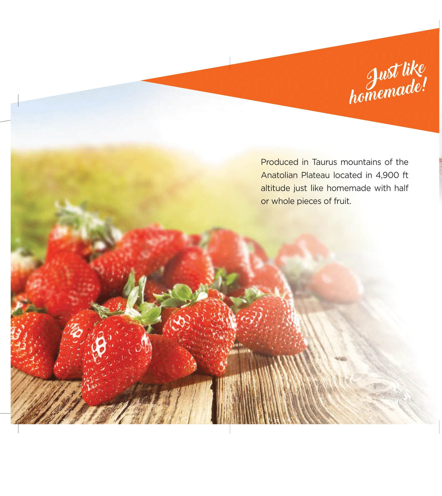 Apricot Jam Fruit Preserves Organic Natural Gourmet Level No Sugar Fresh Jams Best Selling Grade Pure Healthy