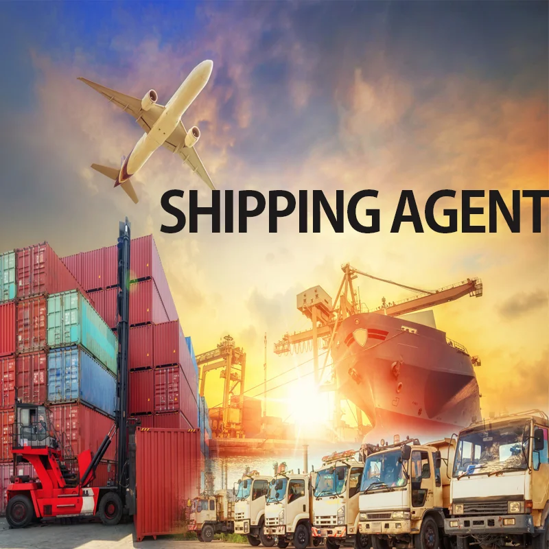 Best lcl fcl customs clearance shipping rates service sea freight forwarder china to