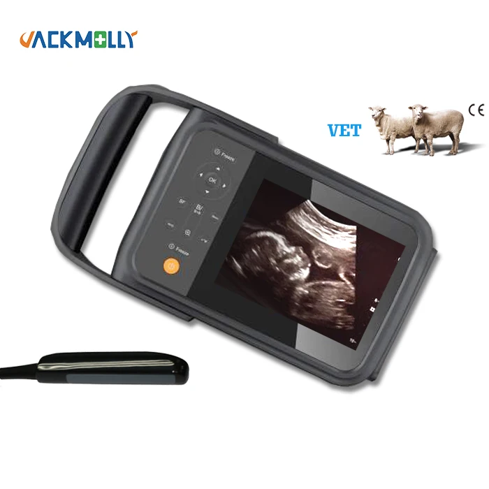 veterinary ultrasound medical vet black and white ultrasound scanner with rectal probe