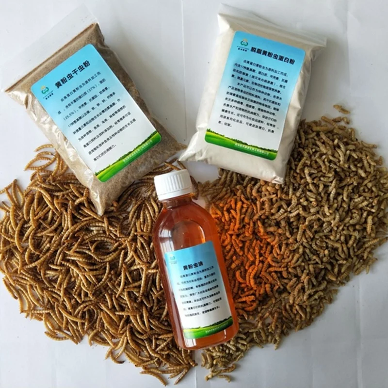 Сушеные мучные черви для птичьего корма