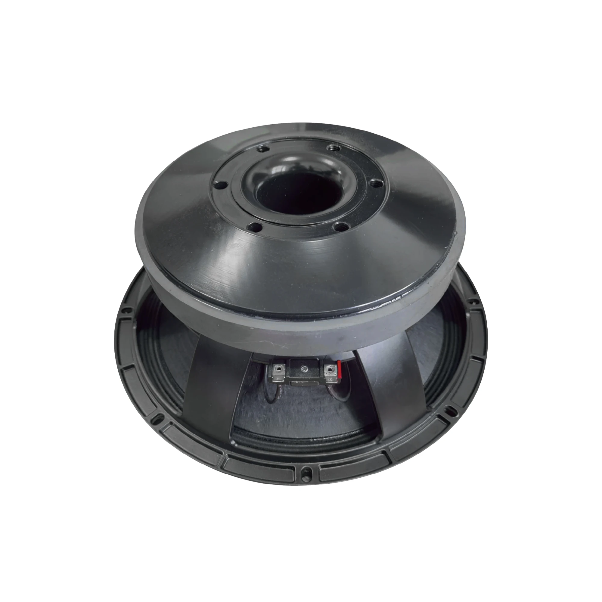 Accuracy Pro Audio 12BCM100 10 Inch Professional Woofer Can be paired with Wooden Speakers Line Array Speakers