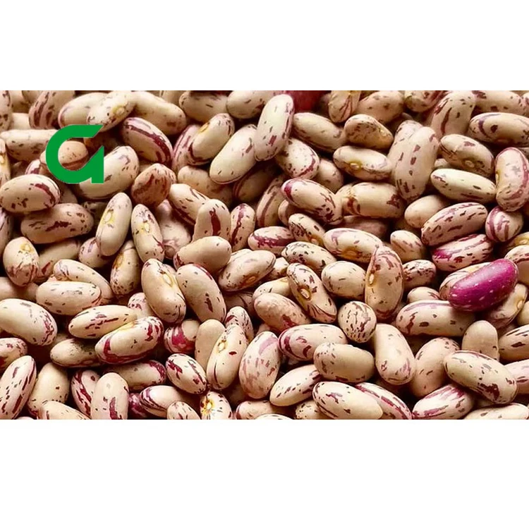 
Organic Pinto Beans Sugar Beans Light Speckled Kidney Beans 