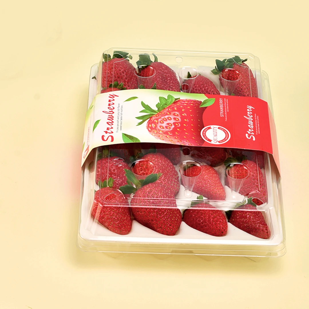 Factory Supply Customize Clear Container Disposable Packaging Tray Plastic Strawberry Tray STL-CM-20