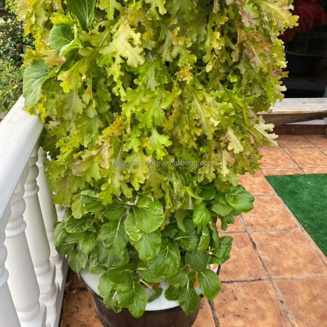 Hydroponic tower gardening system Hydroponic home garden farm system