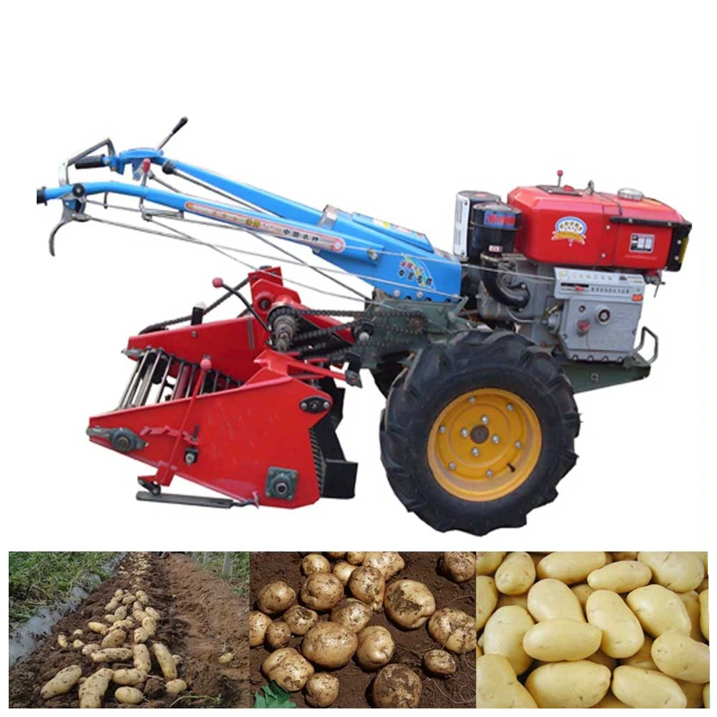Tractor Mounted Single Row Potato Harvester Machinery Small Sweet Potato Digger