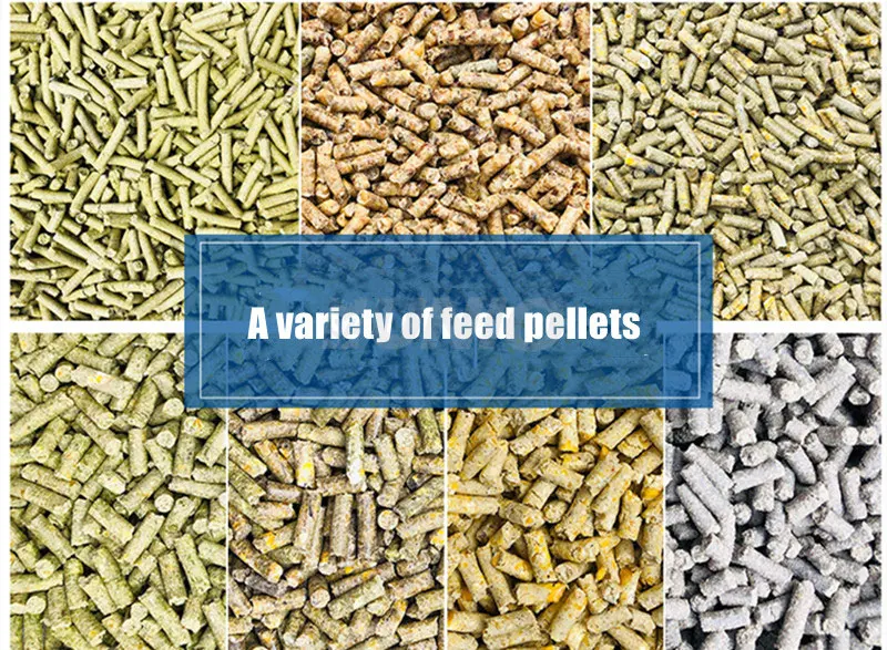 All size available Grinding die spare parts mini feed pellet machine various mill matrices animal pellet machine disc