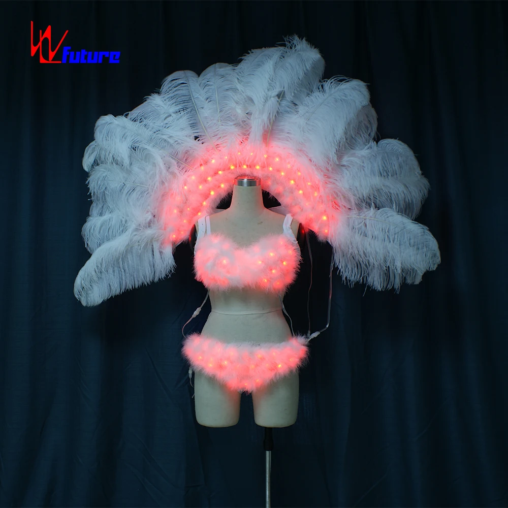 RF remote LED feather sexy carnival costume ,led dress with big Feather wings ,glow in the dark dresses
