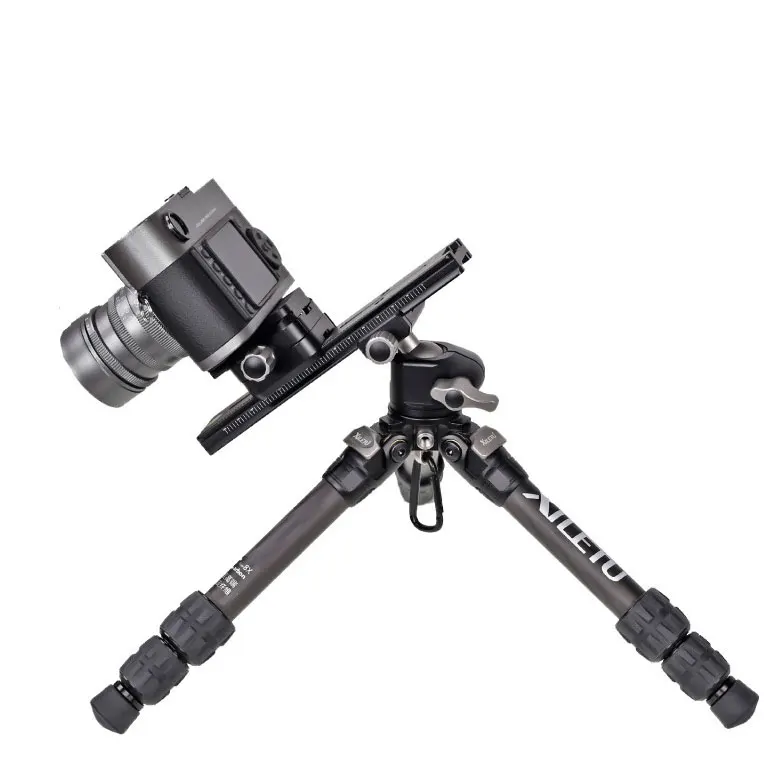LCB-18B_06.jpg