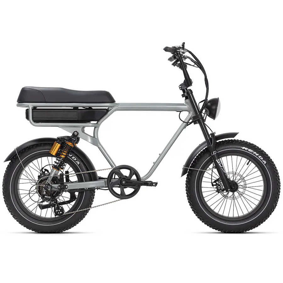 Two wheels on suspension Harle fat tire commuting electric bicycle for 2 adults
