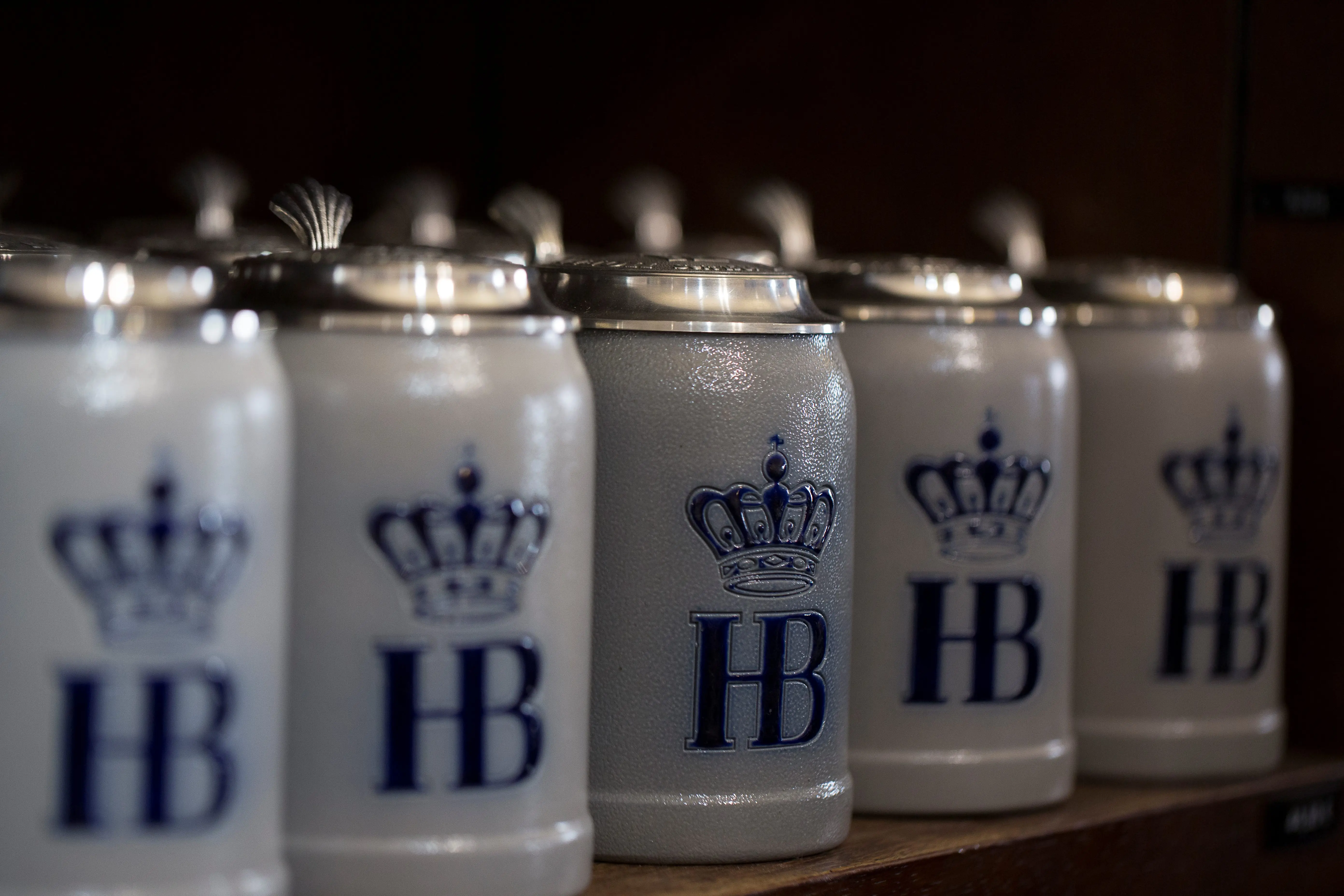 Hofbraeuhaus Muenchen Multiple Styles  Salt-Glazed Stein 0,25 0,5L 1L 3L 5L Oktoberfest Beer Stein Tankard Beer Mug