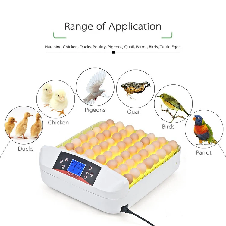 High hatching rate LED light yz 56s mini chicken egg incubator automatic