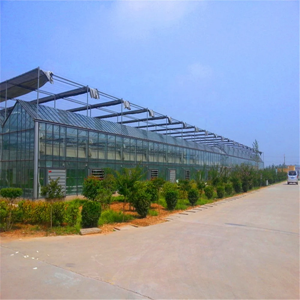 
greenhouse cultivation 