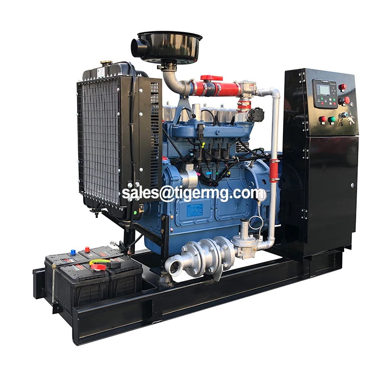 CE approved best selling biogas generator chp 20kw