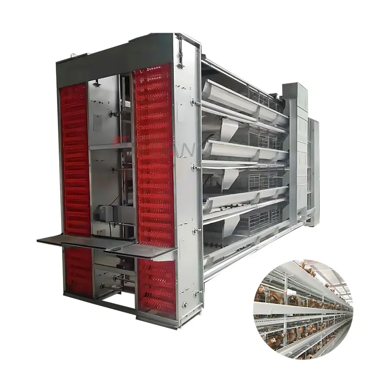 Куриная клетка, Оцинкованное оборудование для курицы, куриная клетка, запасные модели, полный шаг