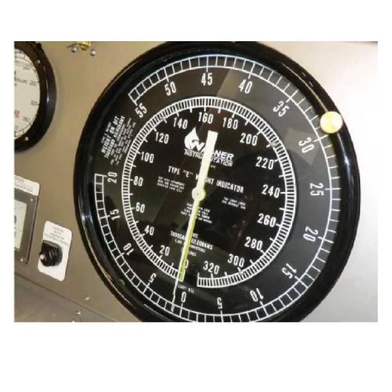 WAGNER WAT100P-08 Weight Indicator