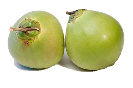 
FRESH YOUNG COCONUT- WHOLE TENDER COCONUT 