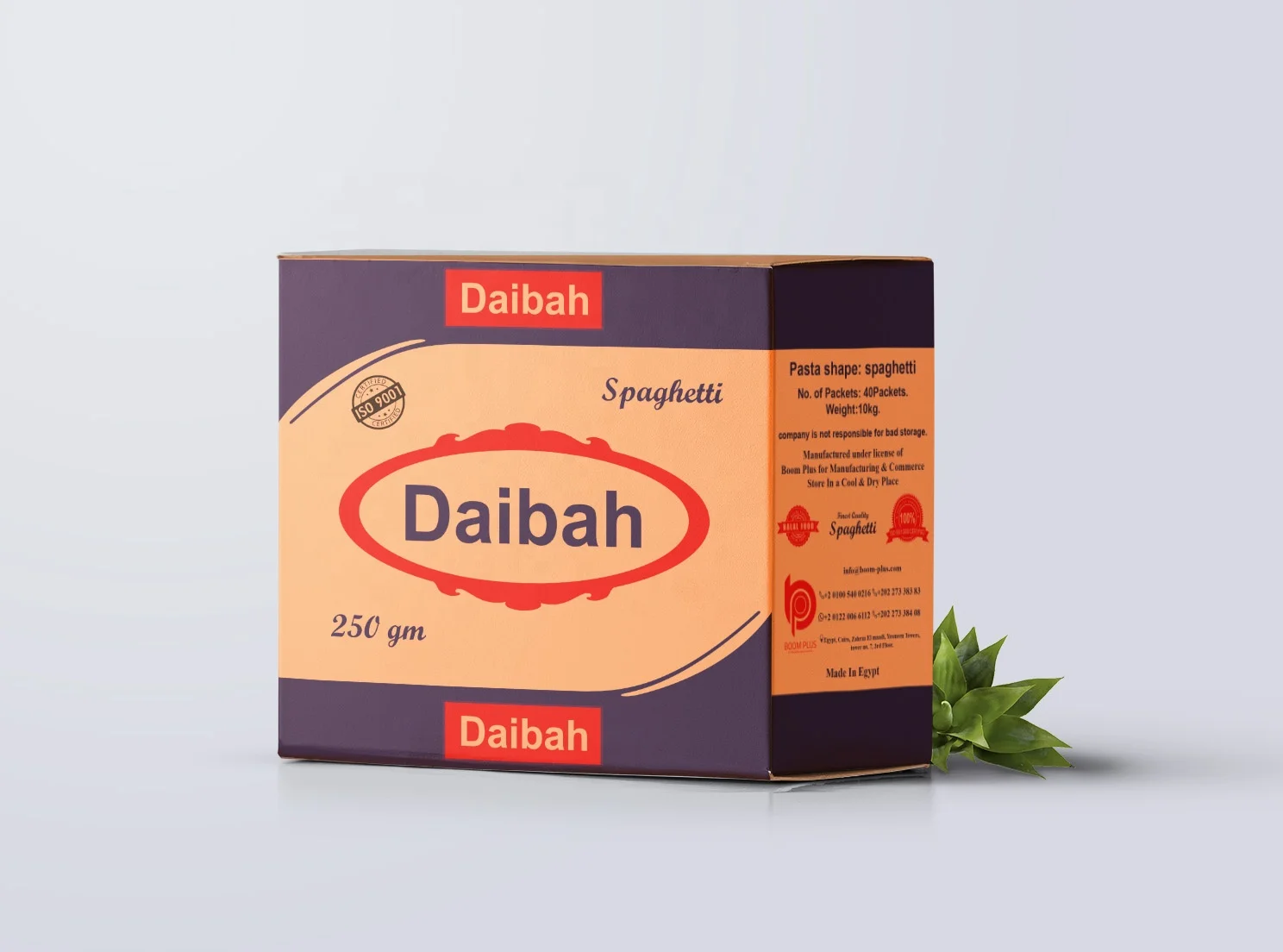 High Standard dried spaghetti 250 g Egyptian Pasta For Sale - Daibah brand with IOS & Halal certifications