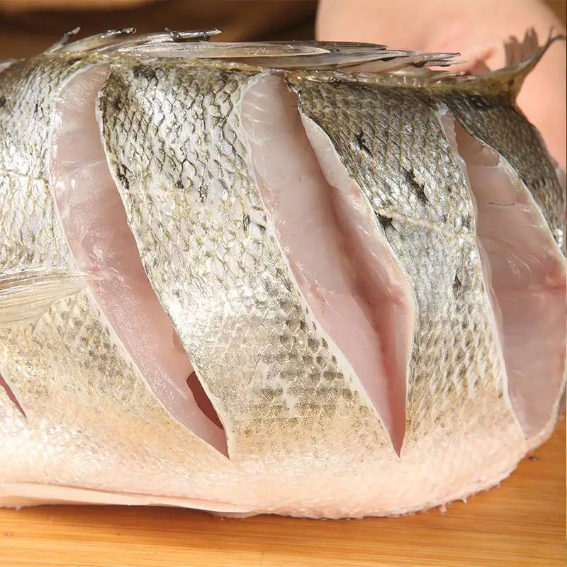 bass fish Japanese Sea Bass Lateolabrax japonicus