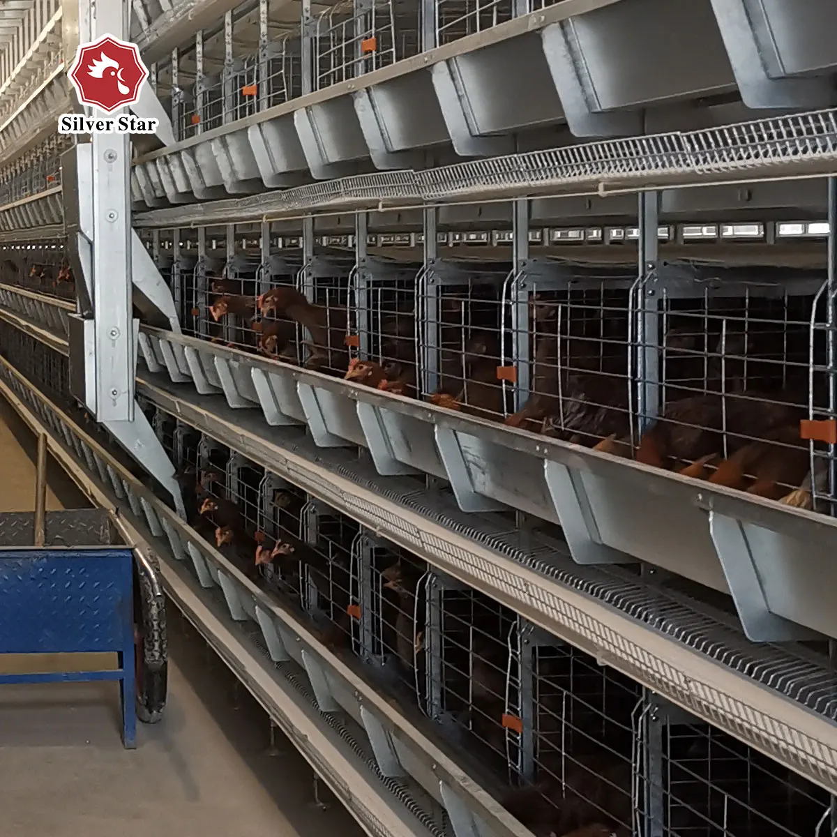 Poultry Farming Equipment Battery Chicken Cages For Laying Hens Sell In Algeria