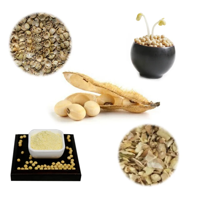 
soya beans supplier soybeans yellow color soybean non gmo wholesale soybean with High Quality protein selling soya bean prices 