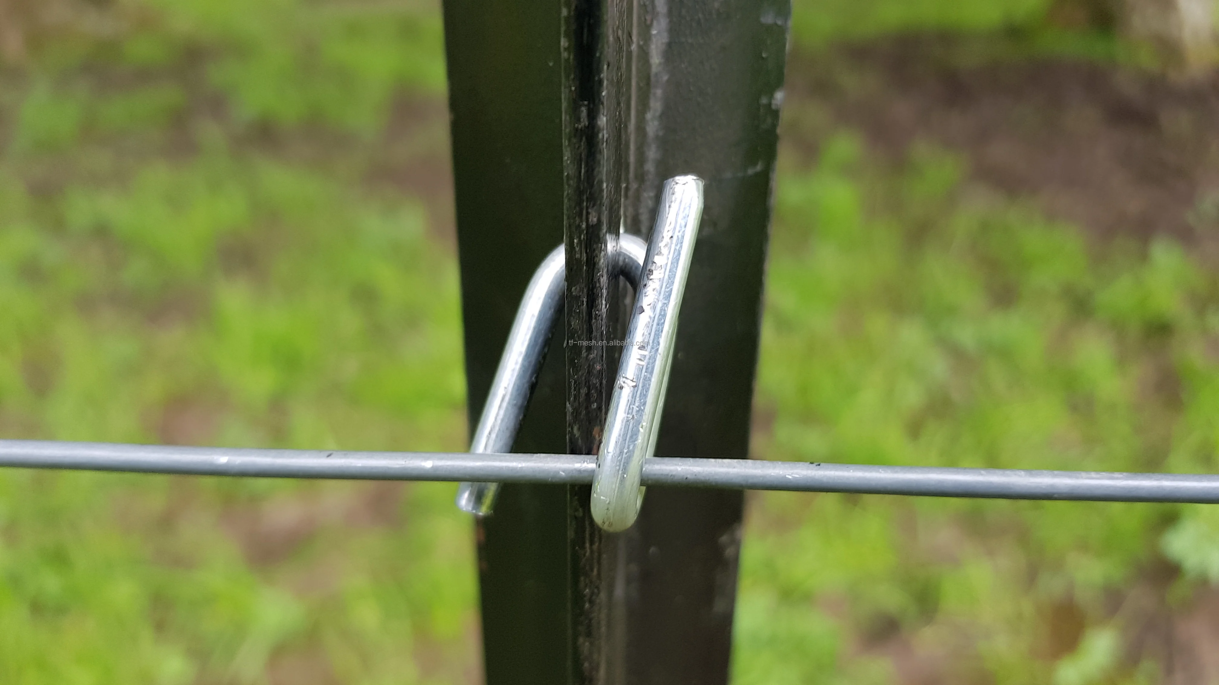 5ft Hot Dipped Galvanized Y Fence Post Y Fencing Pole Star Picket
