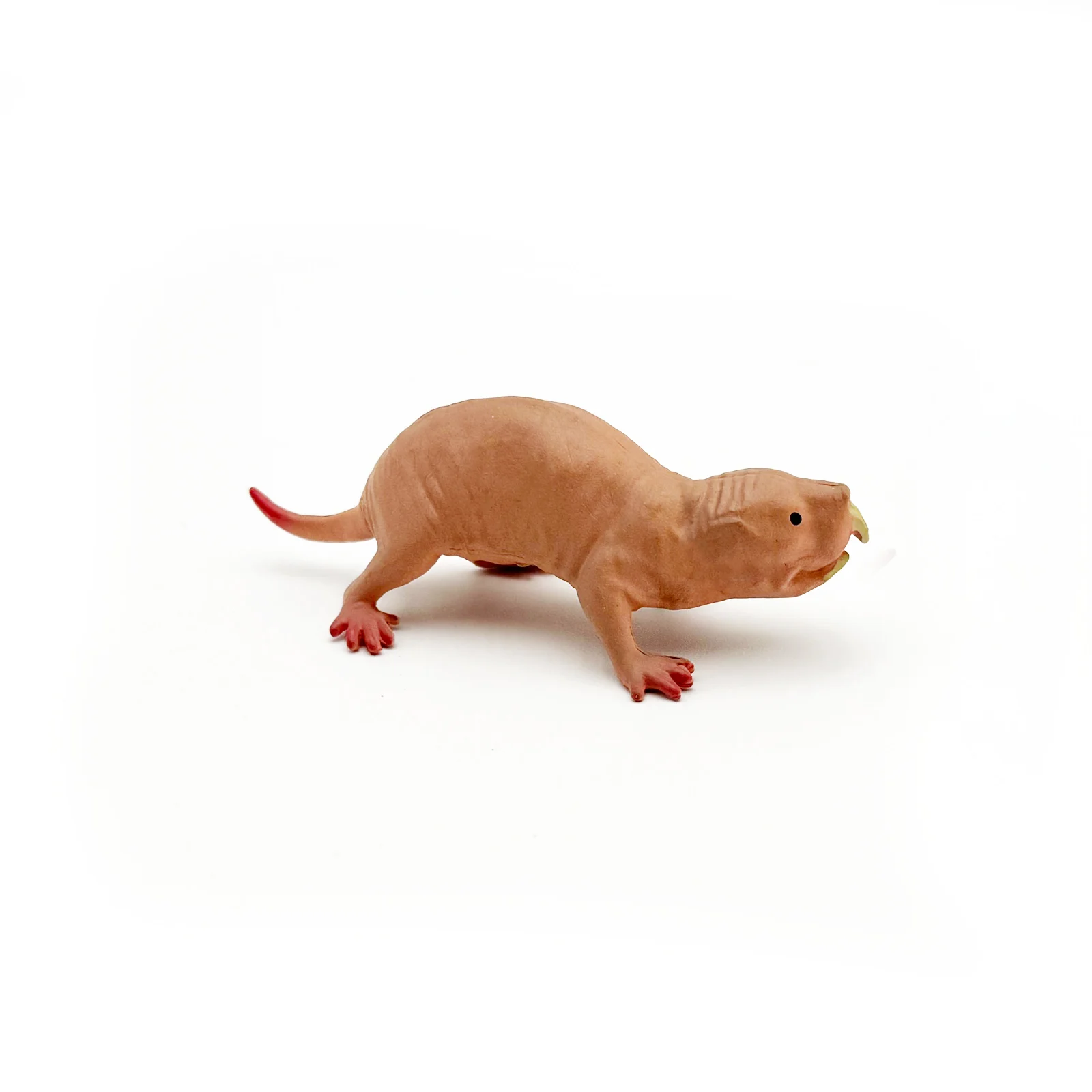 Wildlife Realistic High Quality PVC Plastic Animal Figure Toys Realistic Eco-friendly Animal Nude Mouse Baby Figure Toys