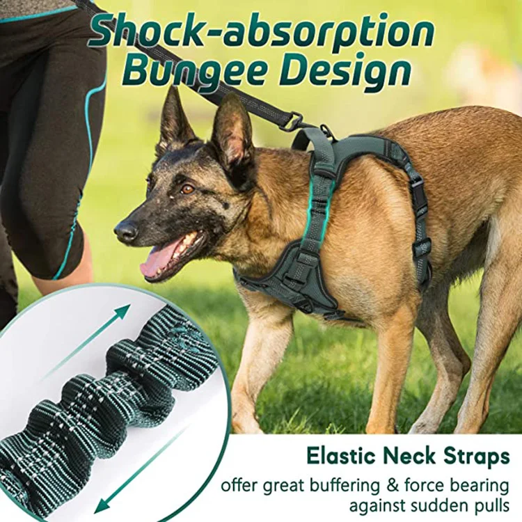 Adjustable Dog Walking Harness with 2 Metal Clips & Shock-Absorbing Bungee Straps
