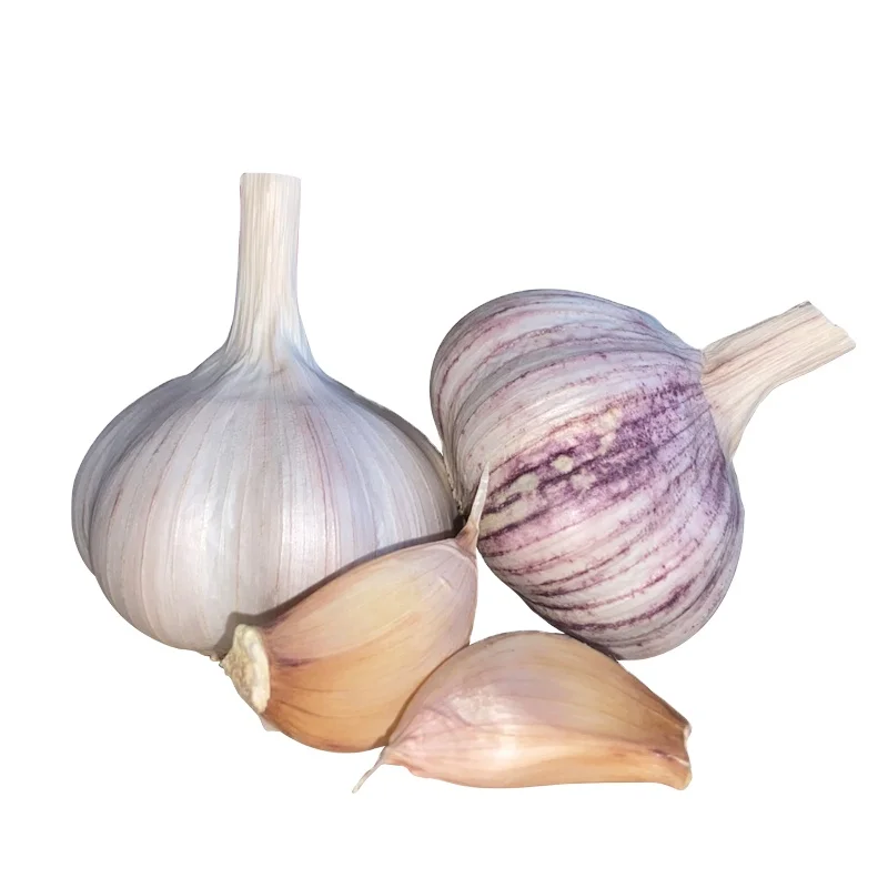 Заказать новый урожай свежего красного чеснока из Китая 5 см 10 кг/коробка Цена: FOB Qingdao/CIF Цена