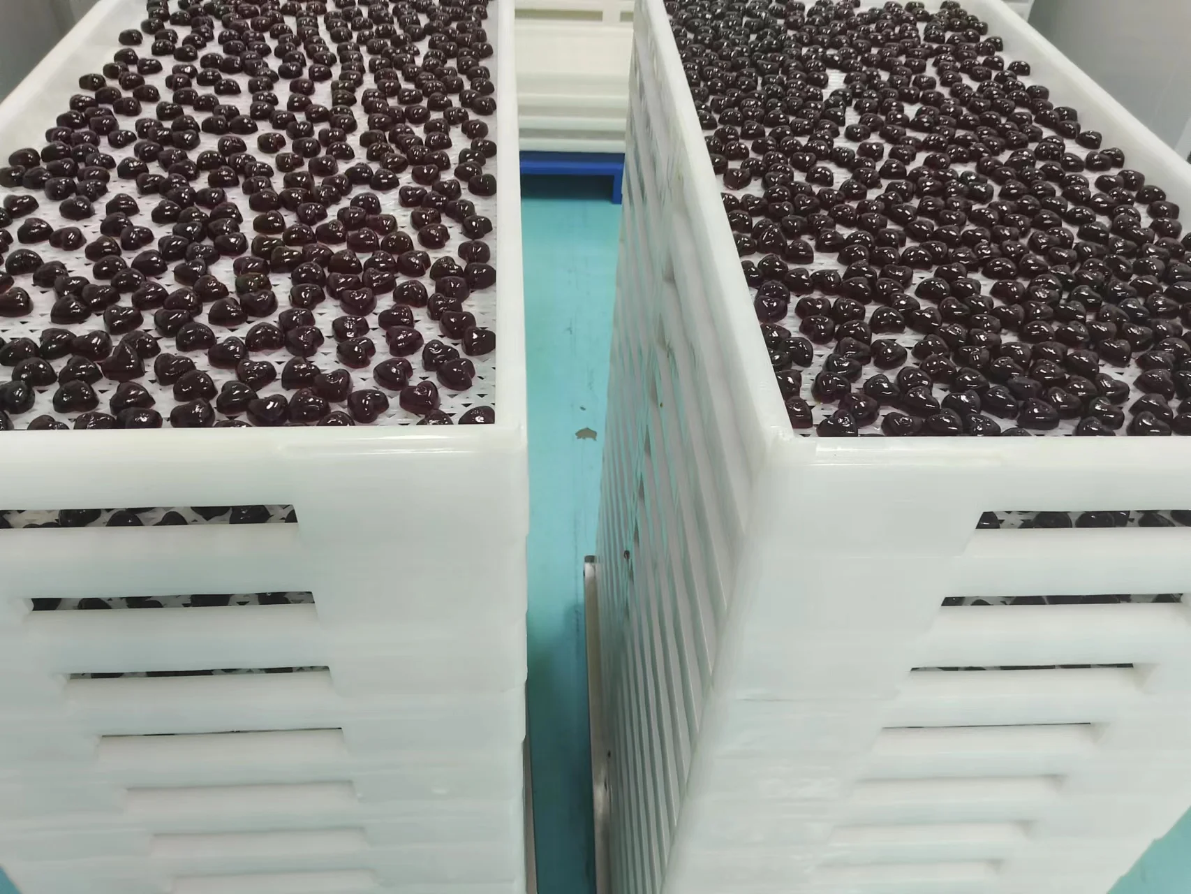 TG Machine full automatic starchless gummy candy making machine with aluminum molds for gummi balls