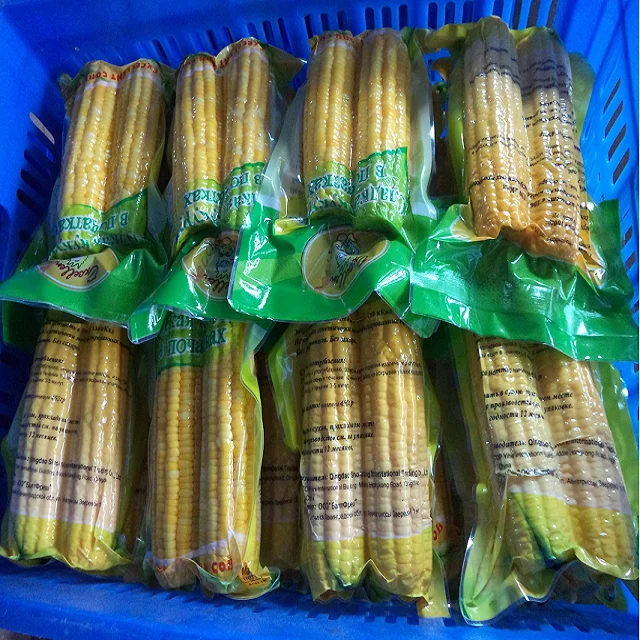 
corn snack boiled sweet corn canned corn cob ready to eat 
