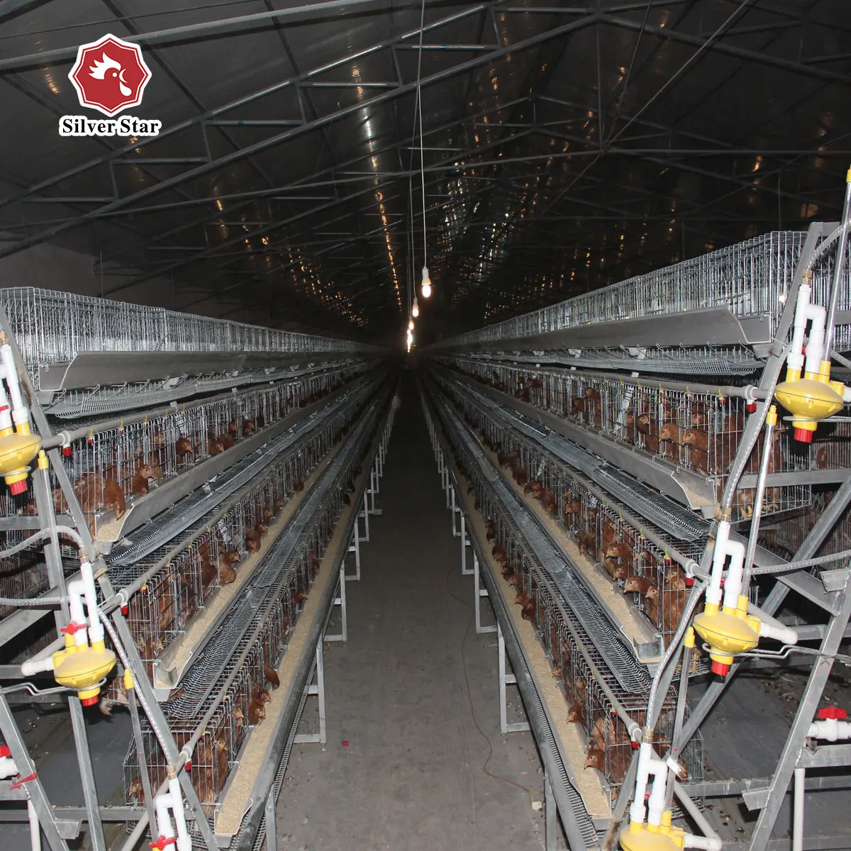 Silver star chicken egg layer cages with full accessory for poultry shed