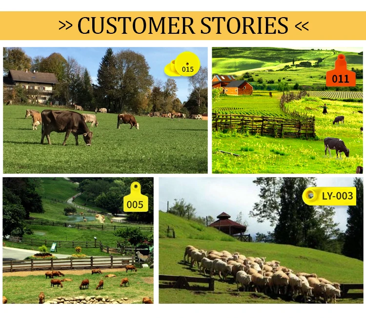 Bohang Wholesale high quality animal cattle ear tags pig sheep cow ear tags Farm Livestock Equipment