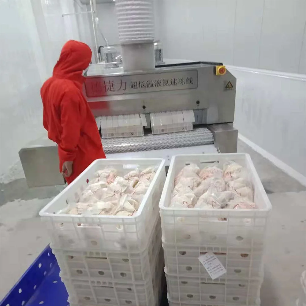 DJL Conveyor freezing tunnel machine Tunnel freezer fast flash tunnel freezer freezing chicken and poultry machine