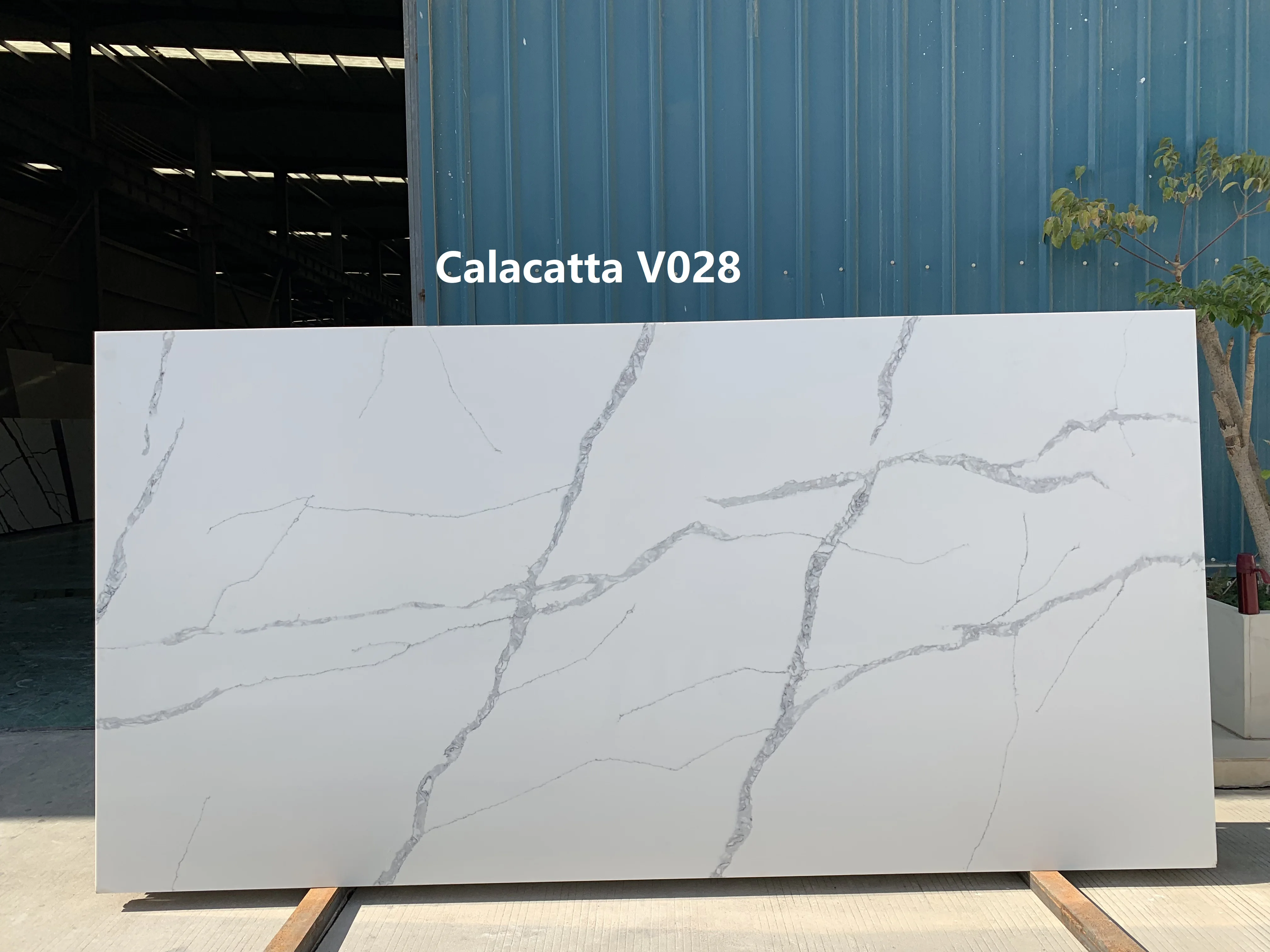 Calacatta V028
