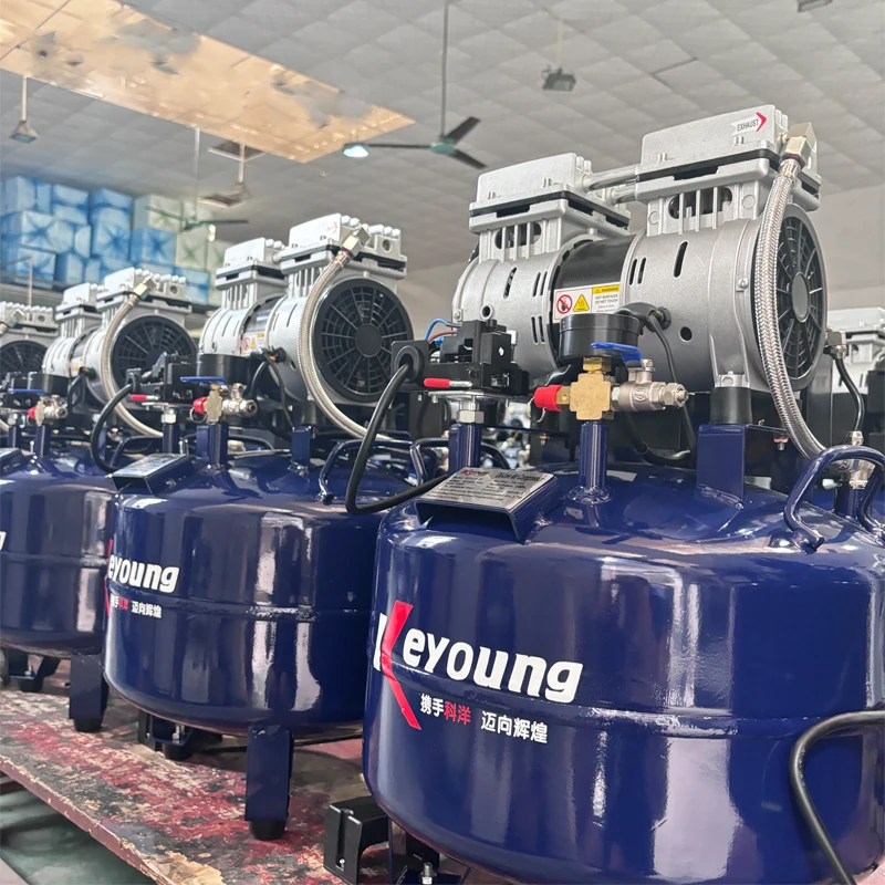 Portable Pigh Pressure Low Noise Oil Free Piston Type Aire Compressor for Dental Mini air Compressor Offer OEM ODM