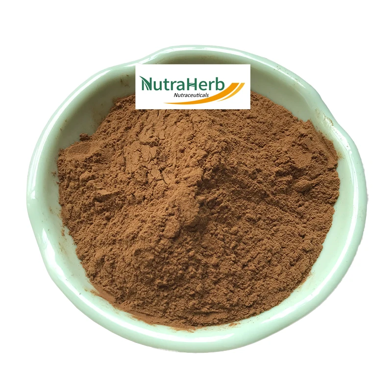 Supply Cassia Seed Extract The Best Quality 100% Natural Cassia Seed Extract Powder With Available Samples