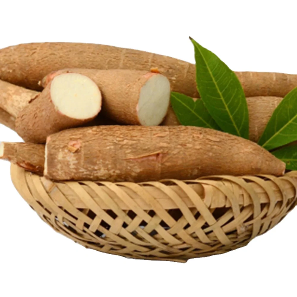 Best Price Cassava  from Vietnam Raw dry Cassava / Dried Cassava Vietnam (Material for Starch) Wholesale with cheap price