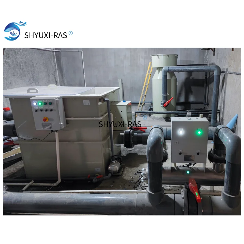 SHYUXI RAS  Circulating aquaculture equipment  for seawater portunus breeding farm