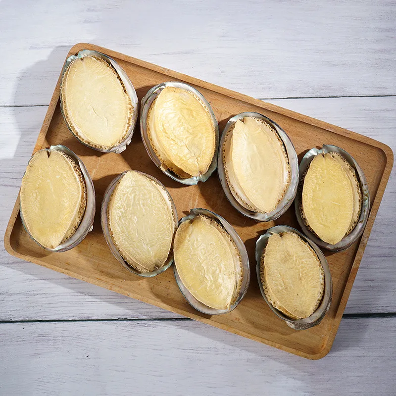 Hot Selling Good Quality Nutritious Shellfish Dried Abalone with Best Price