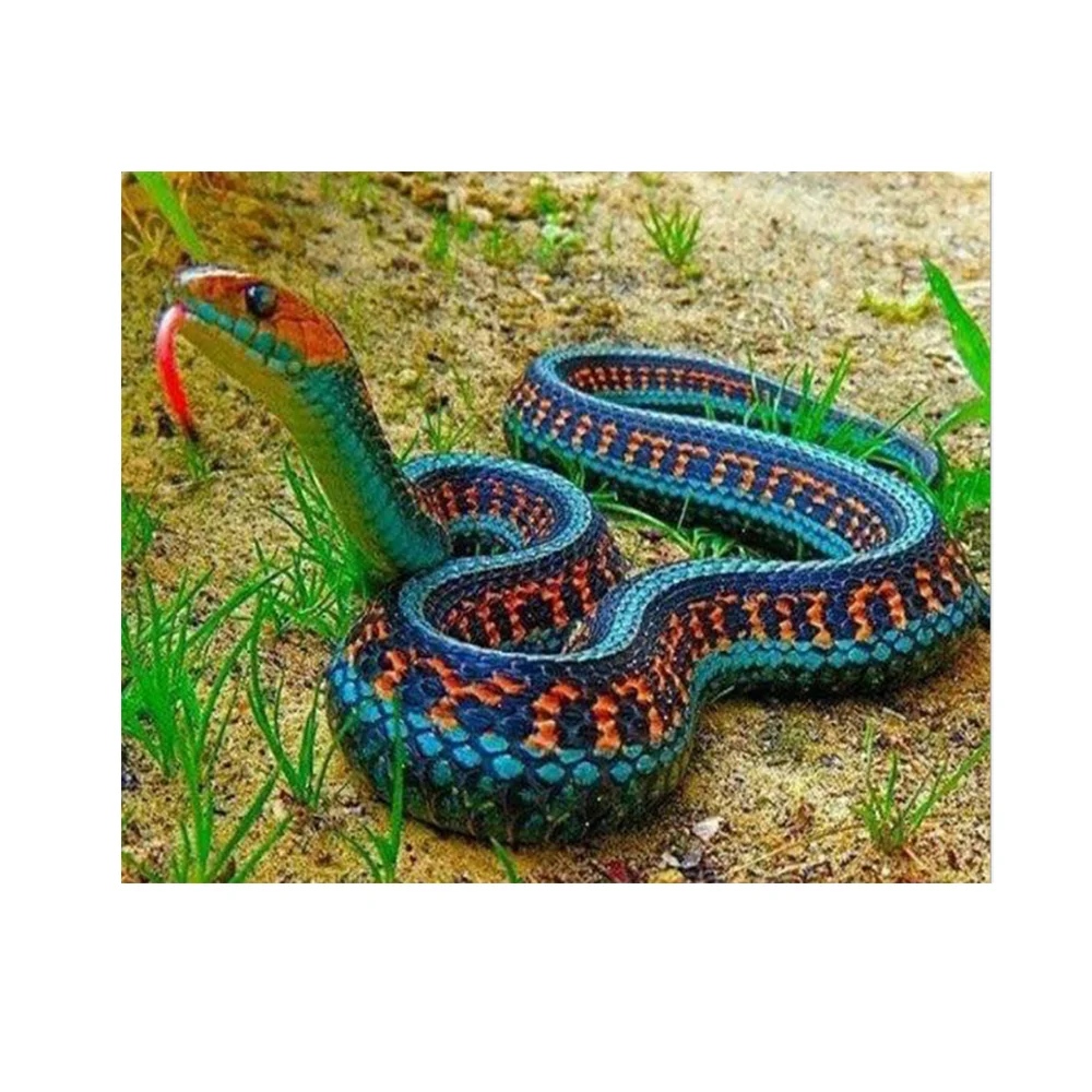 Full Drill 5d Diamond Painting kit Cross Stitch Snake diamond mosaic Embroidery Home Decor Wall Art living room decor