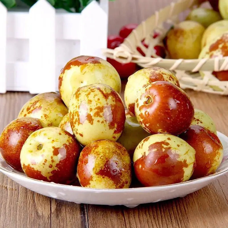 
Fresh China jujube fruits red jujube fresh dates fruit fruit for sale 