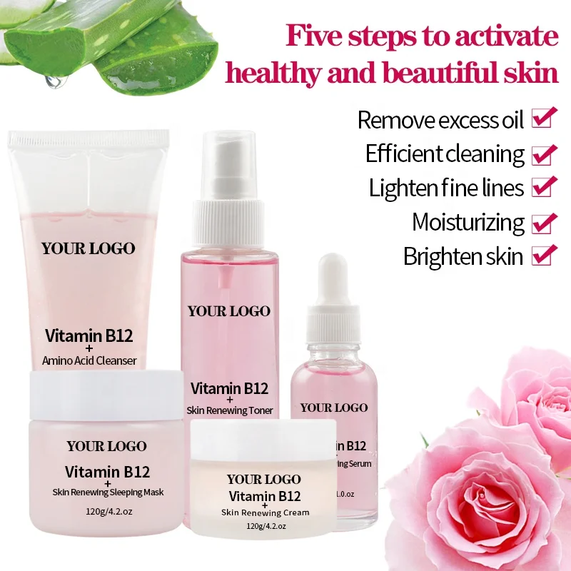 OEM Face & Body Beauty Organic Amino Acid Vitamin B12 Facial Skincare Kit Gifts Whitening Anti Aging Skin Care Set