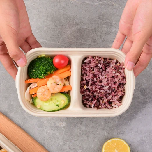 Disposable Takeout Tableware Sugarcane Bagasse Bowl For Picnics Parties