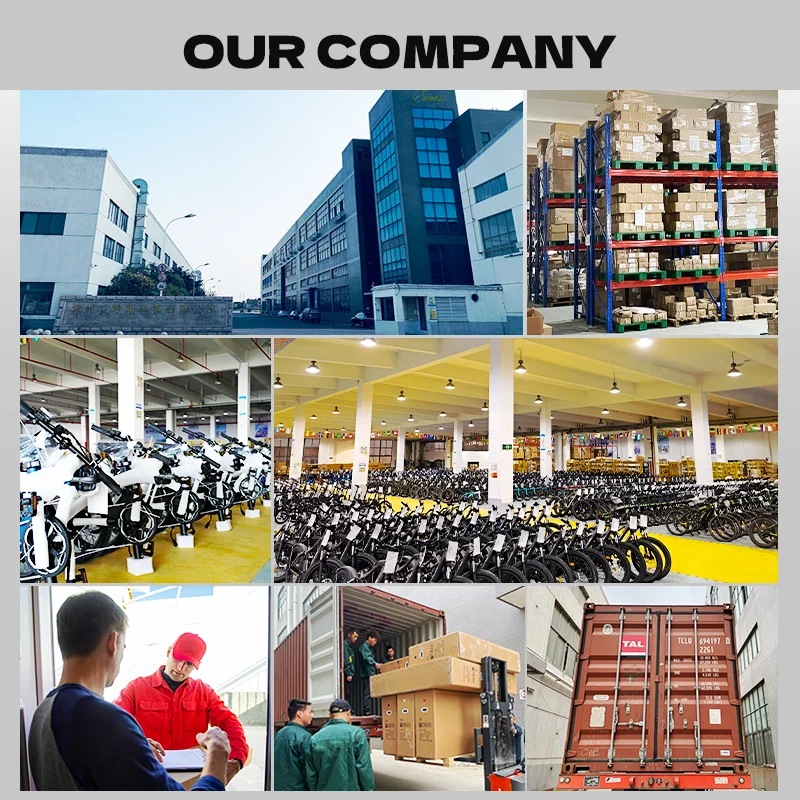 Long tail two wheel bicycle electric cargo bike cargo electric bike 1000w 500W