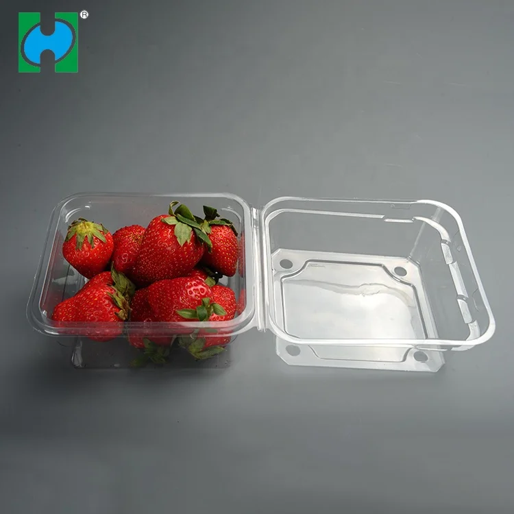 Custom Transparent Disposable Plastic Fruit Packaging Container Covers Lids Dry Containers