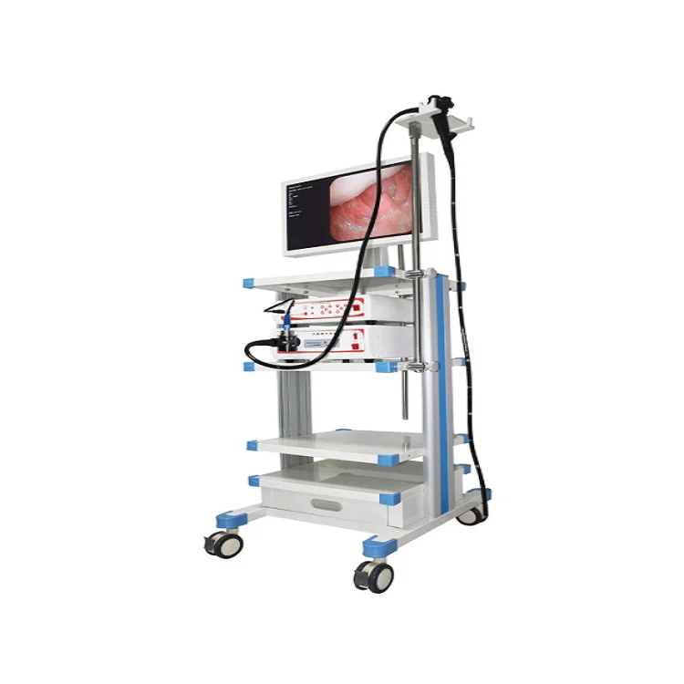 A-Faith 2022 EMV -3000 Medical Endoscopy System with Electronic Video Gastroscope And Colonoscope Video Endoscape