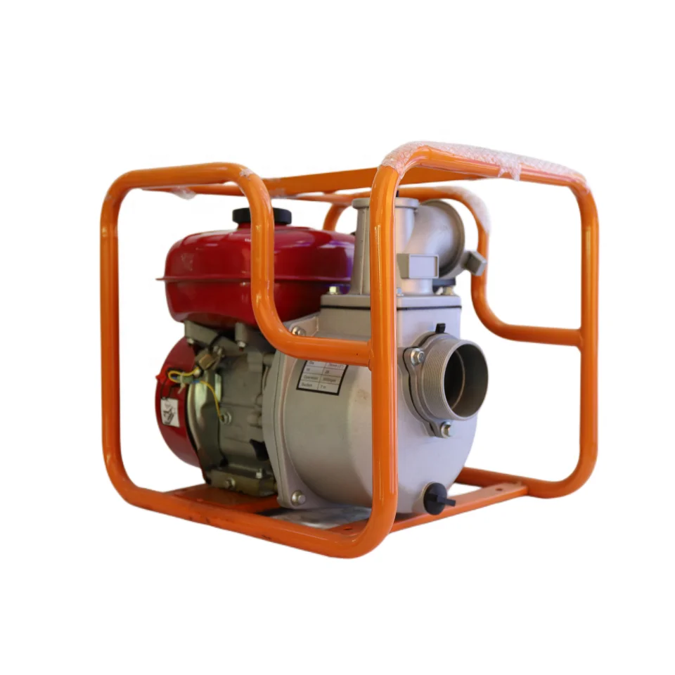 Wenxin Портативный 2 дюйма 220v Водяной насос для сельского