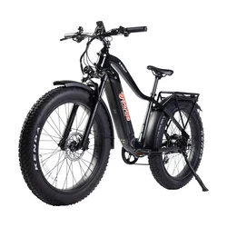 Original 750w Motor E Bike Shimano 10 Speed Electric Bicycle Fat Tire Electr Bike Cruiser Ebike